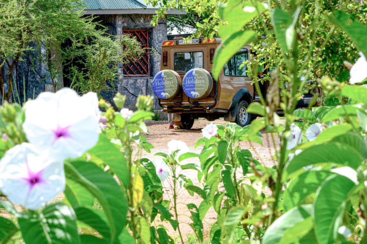 Africa Safari Serengeti Ikoma Exterior foto
